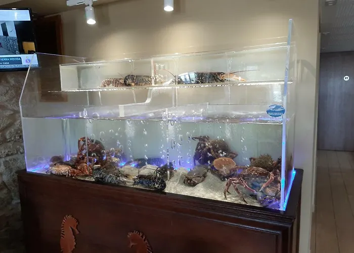 فندق Boutique O Nautico لاتشي