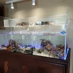 호텔 Boutique O Nautico 라세