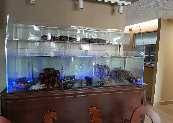 Ξενοδοχείο Boutique O Nautico